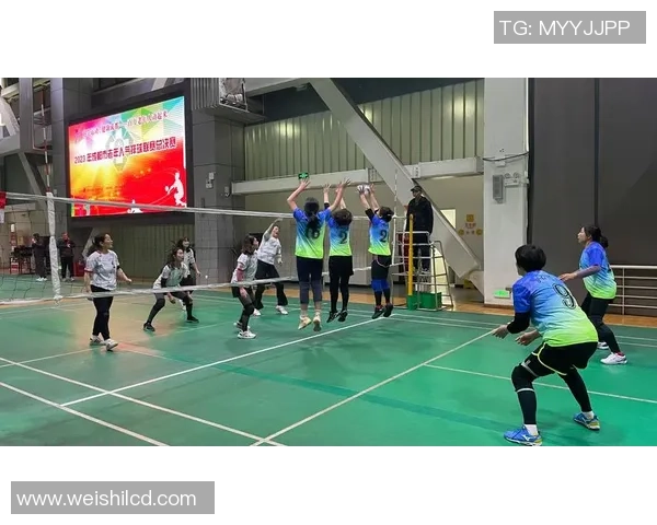 成都排球队比赛经验的创新与变革引发热议