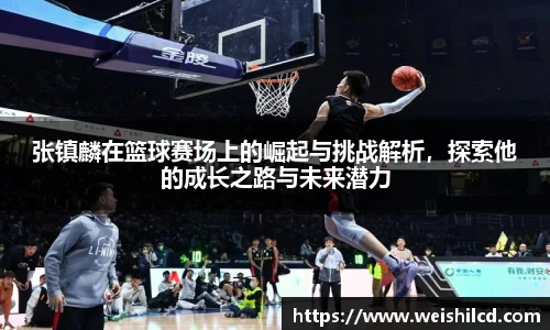 张镇麟在篮球赛场上的崛起与挑战解析，探索他的成长之路与未来潜力