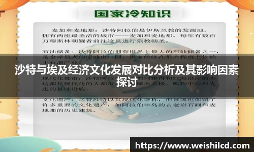 沙特与埃及经济文化发展对比分析及其影响因素探讨
